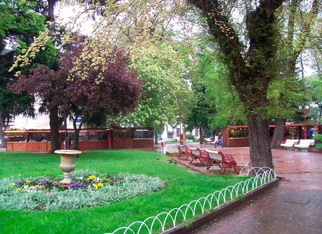 Viajar en tren a Santiago → Chillán