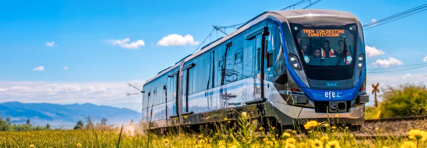 Una imagen detallada y nítida que captura la parte frontal y lateral de un moderno tren eléctrico de EFE Trenes (EFE) de color azul y gris, operando en la línea Talca-Constitución. El tren circula sobre vías férreas que atraviesan un campo vibrante de flores silvestres amarillas (dientes de león), con montañas distantes y un cielo azul despejado con nubes de fondo. El cartel de destino frontal en la parte superior de la cabina muestra claramente el texto legible: 'TREN CON DESTINO CONSTITUCION'. Varios miembros de la tripulación con chalecos de alta visibilidad de color naranja son visibles dentro de la cabina de conducción. El logotipo de EFE es prominente en el lateral del tren. Un pequeño semáforo de cruce ferroviario con un cartel de cruce (una X) es visible en el extremo derecho.